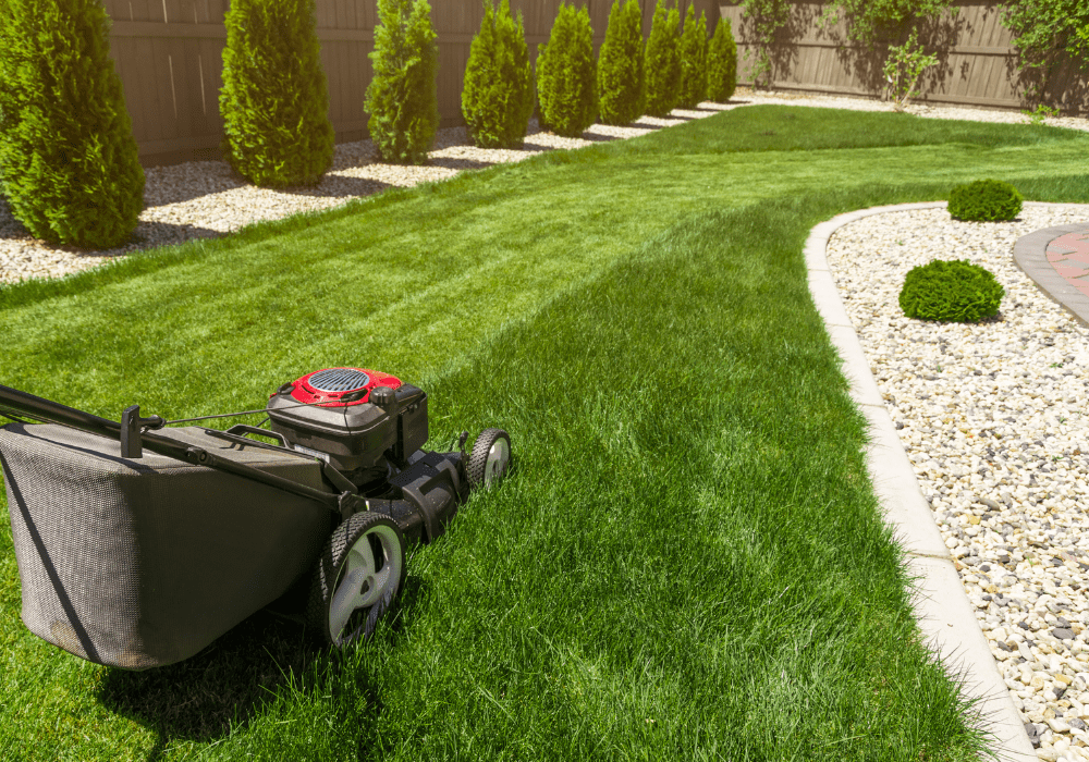 Aussenanlagenpflege Gartenpflege Hausmeisterservice Bremen Bienemann Gebäudeservice 1