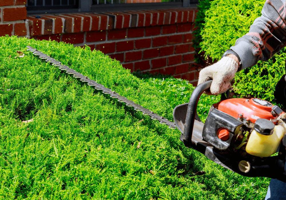 Aussenanlagenpflege Gartenpflege Hausmeisterservice Bremen Bienemann Gebäudeservice 2